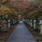 秋雨の高山寺