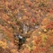 鳴子峡と紅葉と陸羽東線