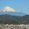 11月19日の富士山