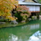 相楽園の紅葉