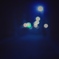 近所の夜道