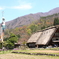 合掌造りと鯉のぼり