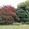 六義園