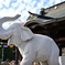 吉ゾウくん　長福寿寺