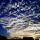 泳ぎたくなる空