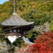 【根来寺】駐車場から大塔と紅葉