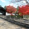秋の散歩道(北山別院)