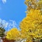 成田山公園