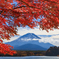 他手合浜の紅葉と富士