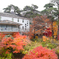 日光人形の美術館と紅葉