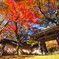 紅葉の東光寺山門