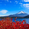 火あぶり富士山＾＾