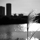 2023-10-30_0128