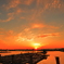 貯木場夕景