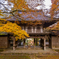 高源寺 紅葉 8