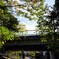 散歩道②