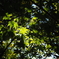 PC020108