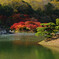 水辺の紅葉1