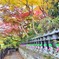 晩秋の大和路⑦　