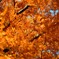 DSC_0098 (1)~2