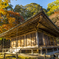 国宝 富貴寺の紅葉２