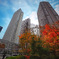 紅葉のある景色