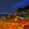 清水寺 秋の夜間拝観