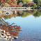 逆さ紅葉