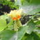 RIMG0015
