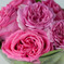 Smell　Sweet！
