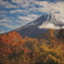 富士山と紅葉