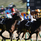 α7RⅢ＋SIGMA 100-400mm F5-6.3 DG DN OS 競馬