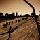 homeward-bound