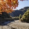 鉄橋と紅葉