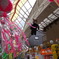 DSCN6140