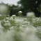 SDIM0057