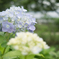 SDIM0084