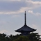 晩秋の古都奈良 3