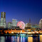 YOKOHAMA NIGHT VIEWS