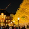 Autumn leaves at Tokyo Station
