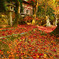 紅葉の絨毯