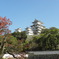 城