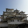 横顔