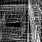 steel cube