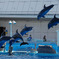 070_edited-1