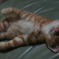 くたくた