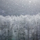 粉雪