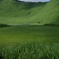  曽爾高原