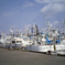 CIMG0114
