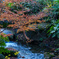 成田山公園にて